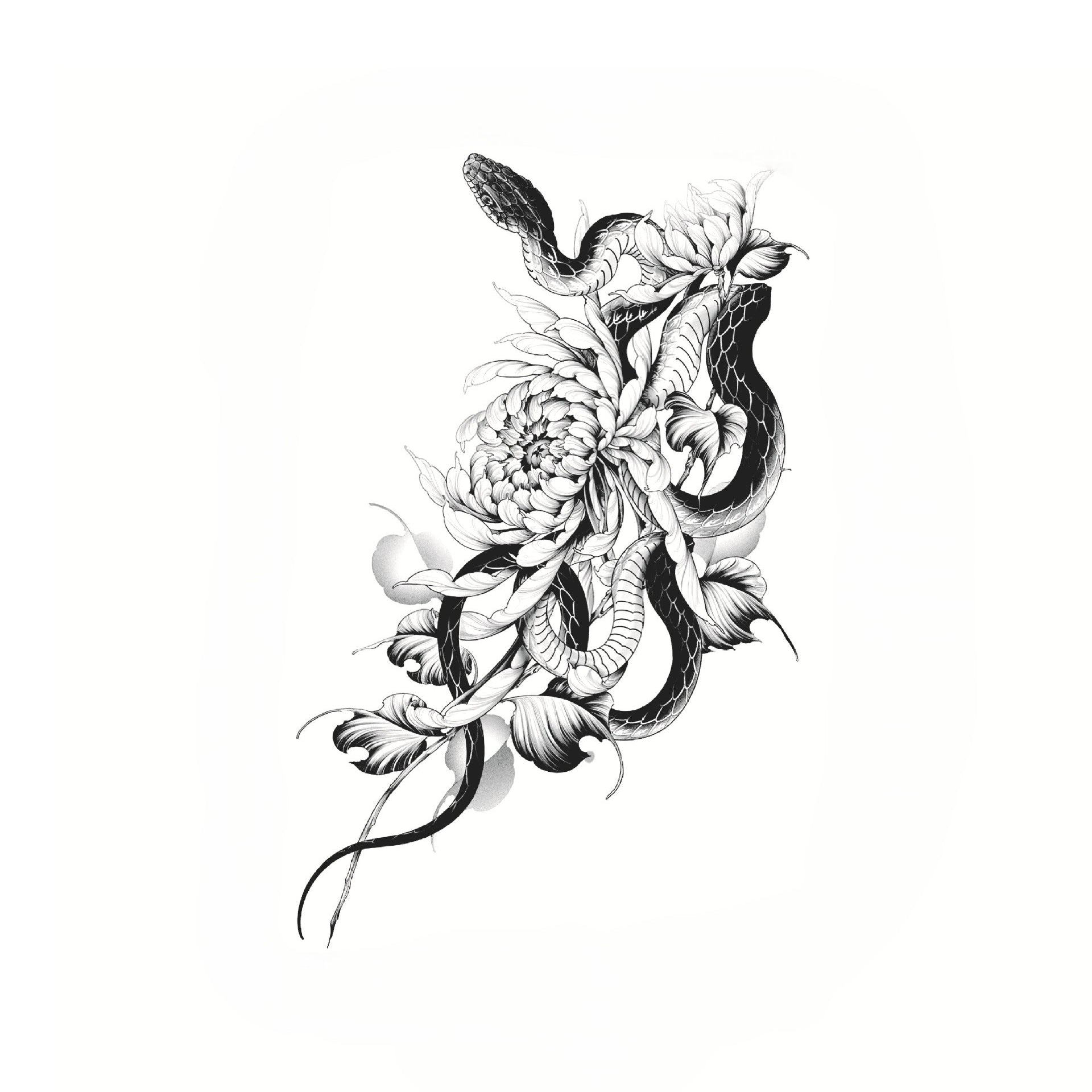 Serpent & Chrysanthemum