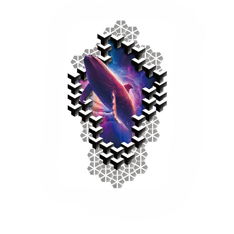 Cosmic Whale in Geometric Frame