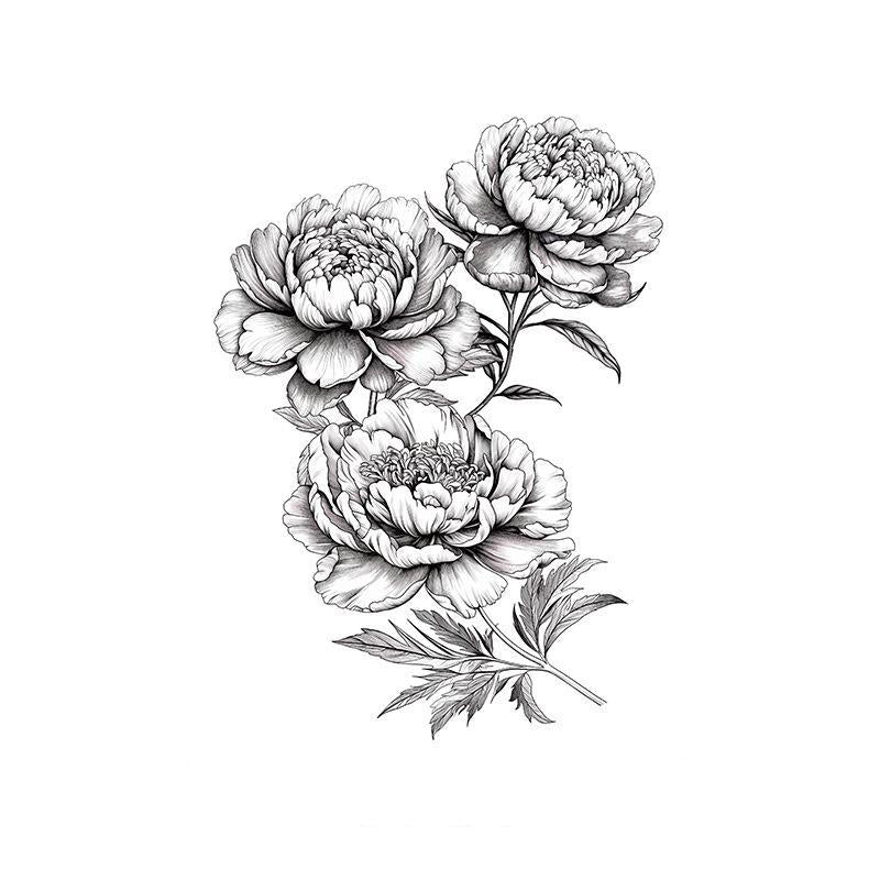 Detailed Peony Sketch